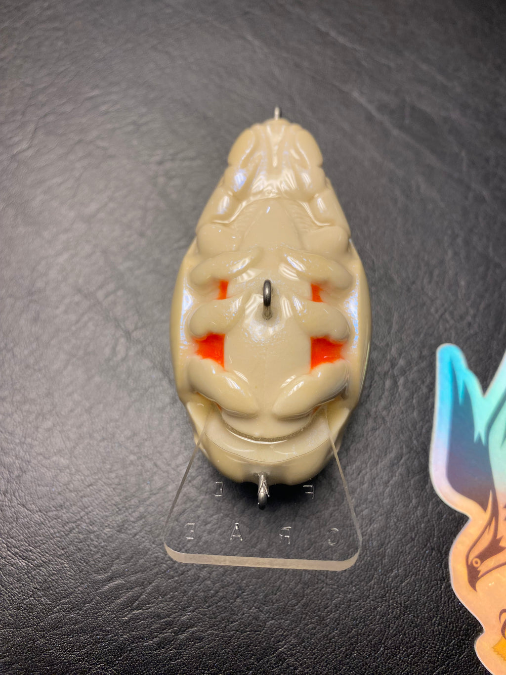 GTF Official Mole Crab in "Mole Max"