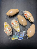 Custom Mole Crab - "Natural with Blue Iridescent”
