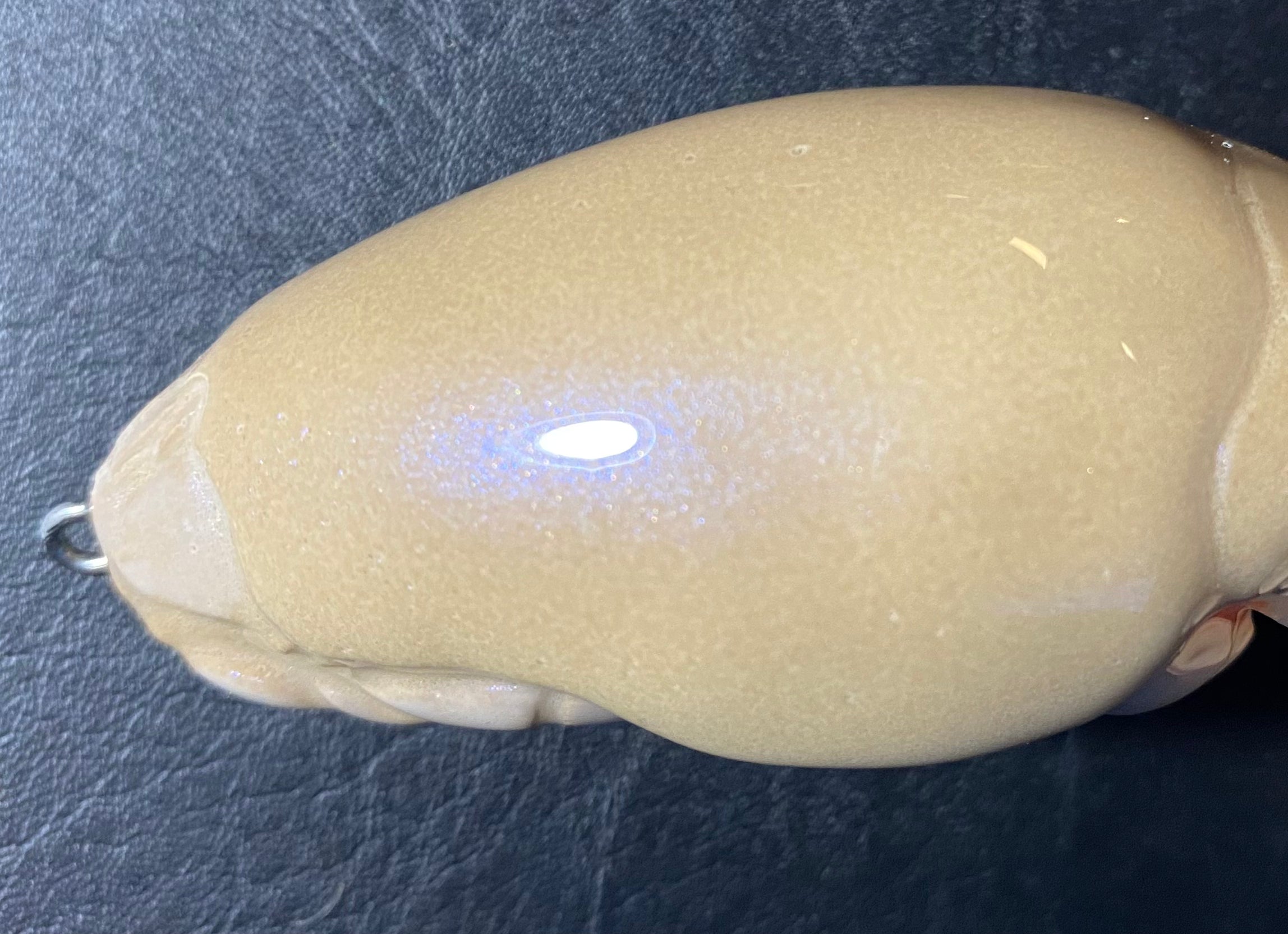 Custom Mole Crab - "Natural with Blue Iridescent”